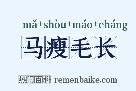 马瘦毛长是什么意思的图片